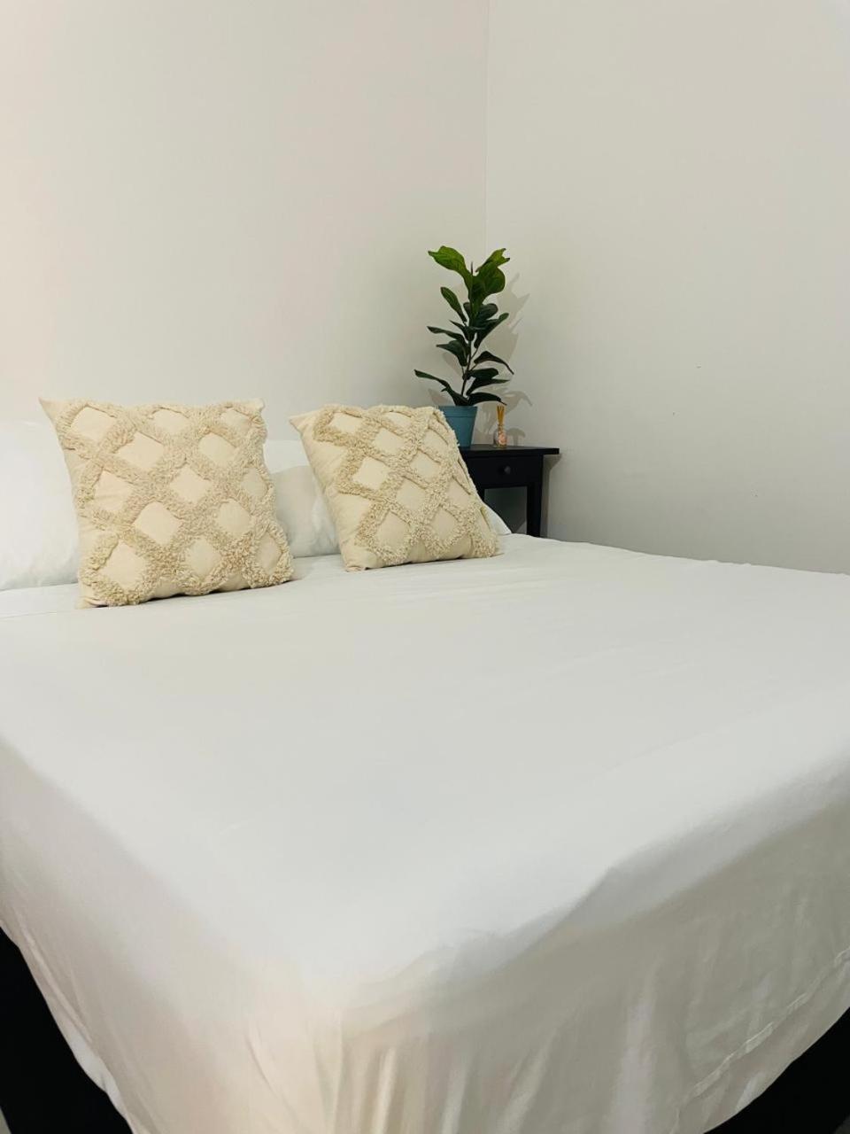Hostal 1545 Riohacha Ruang foto
